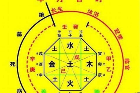 八字命盤五行|生辰八字算命、五行喜用神查詢（免費測算）